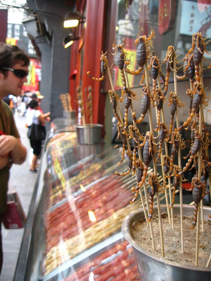 Skewered scorpions Wangfujing snack street Beijing