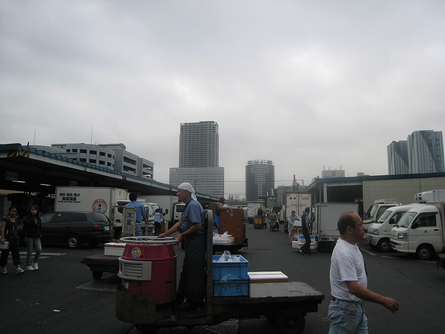 Tsukiji fish market stalls in Tokyo displaying seafood