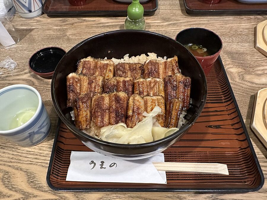 Anago-meshi grilled conger eel served over rice