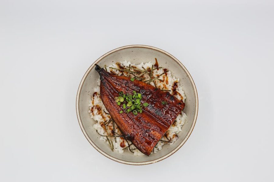 Unagi donburi grilled eel over rice