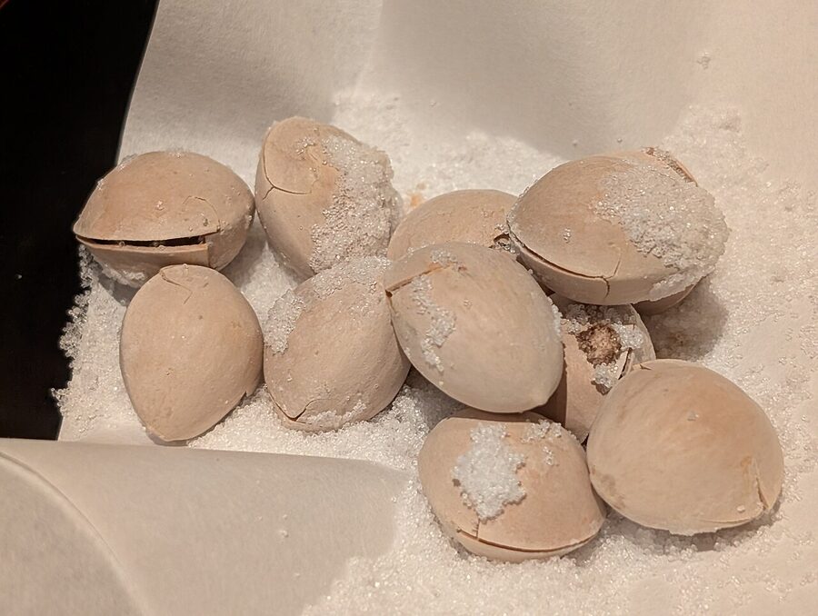 Interior of a quality izakaya in Ebisu, Tokyo, with wooden counter, glass display and staff preparing food