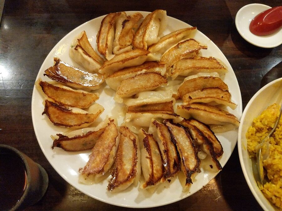 Japanese gyoza dumplings pan-fried