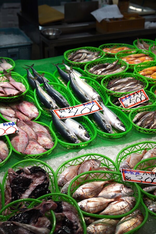 Fish counters at Kanazawa's Omicho market