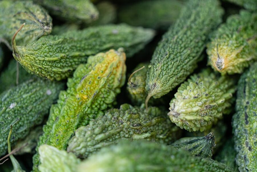 Fresh bitter gourds close up showing textured green skin