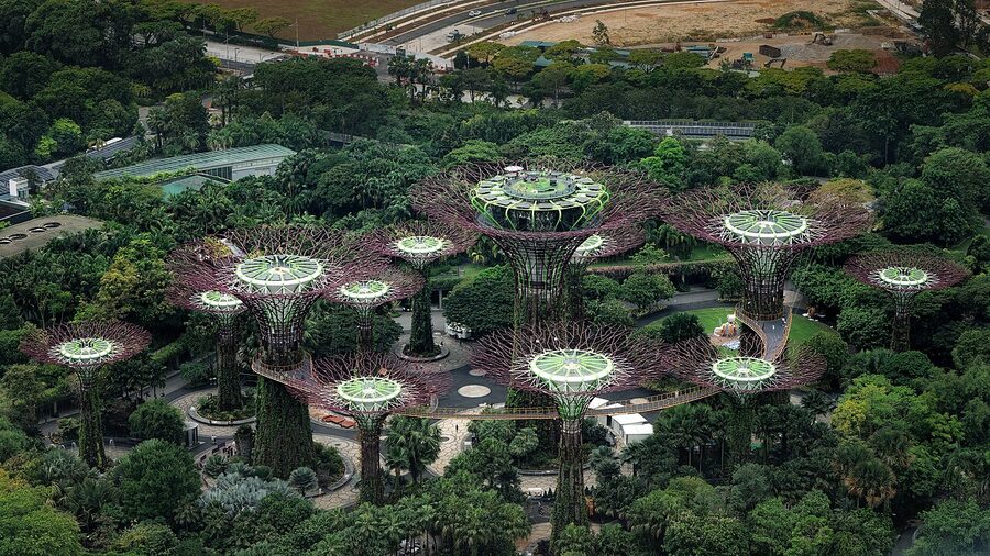 Supertree Grove at Gardens by the Bay, Singapore
