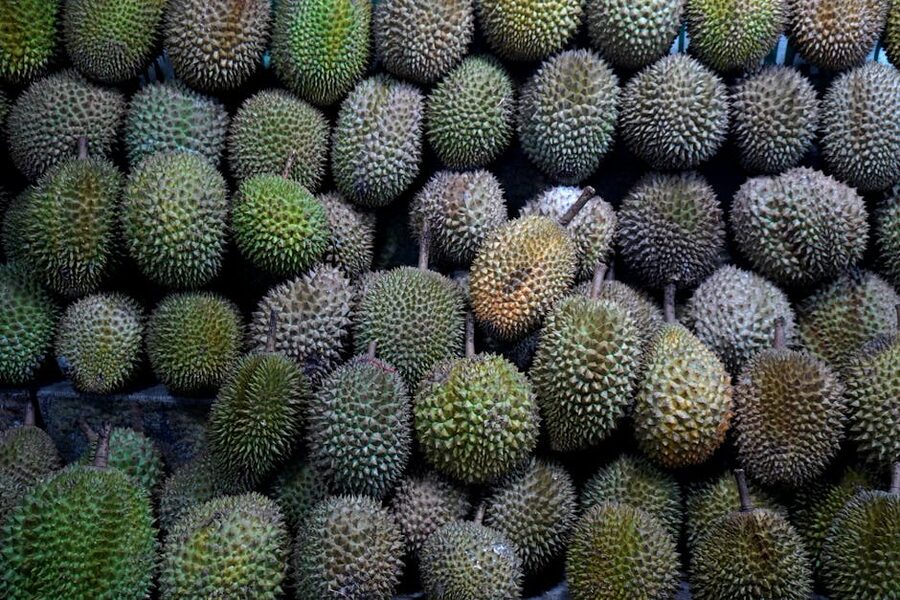 Pile of fresh durian fruits on display at a market