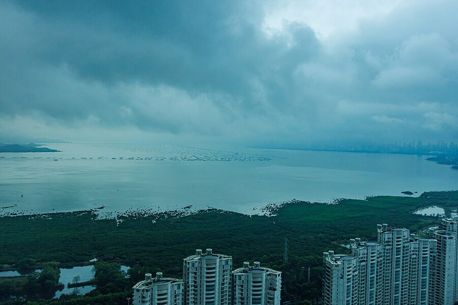Shenzhen Bay (Deep Bay) waterfront view