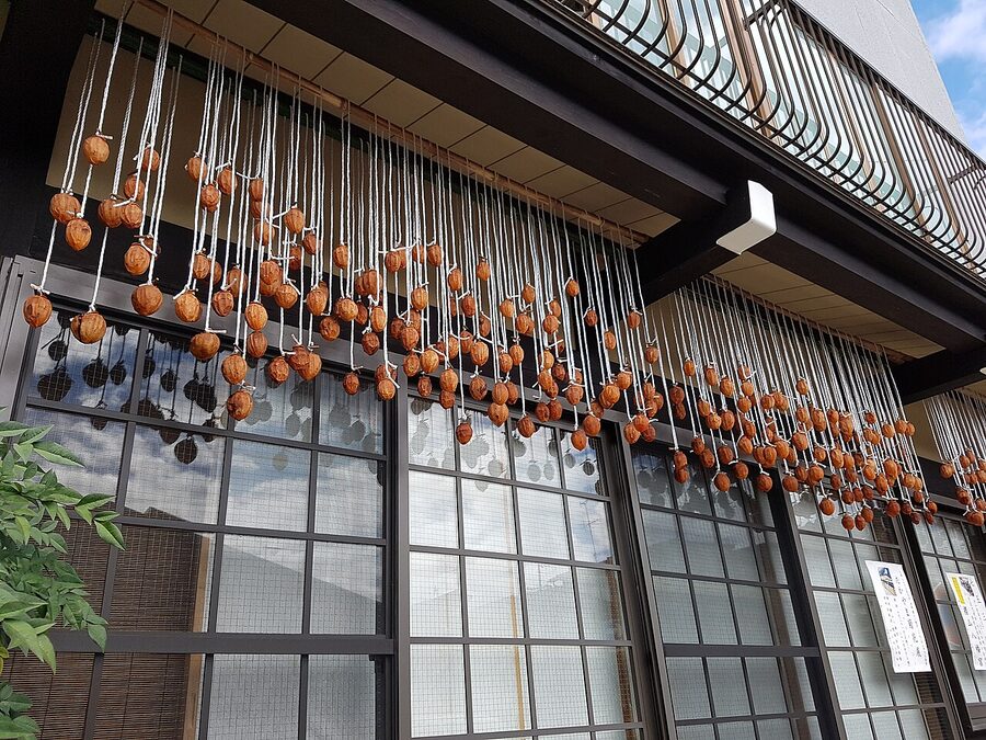 Drying persimmons Takayama old town