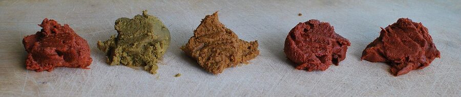 Commercial Thai curry pastes red green yellow panang massaman