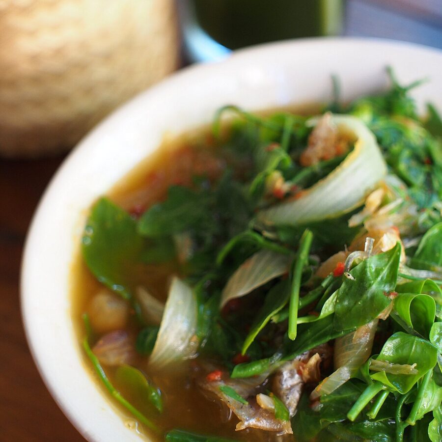 Kaeng phak wan pa northern Thai jungle-style curry with forest leaves