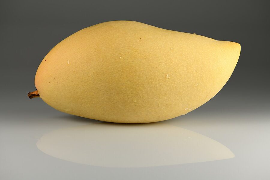 Nam Dok Mai mango grown in Thailand