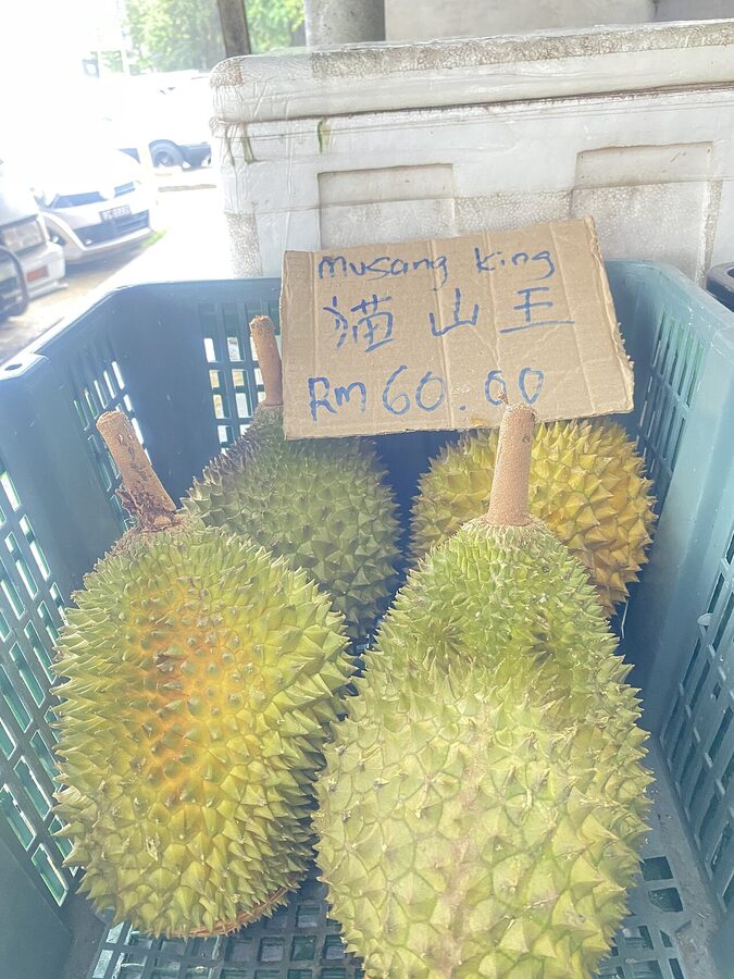 Musang King durian showing bright yellow flesh