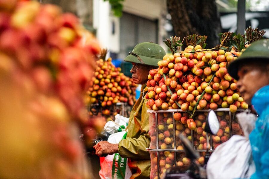Lychee vendors at Bac Giang, Vietnam during lychee season