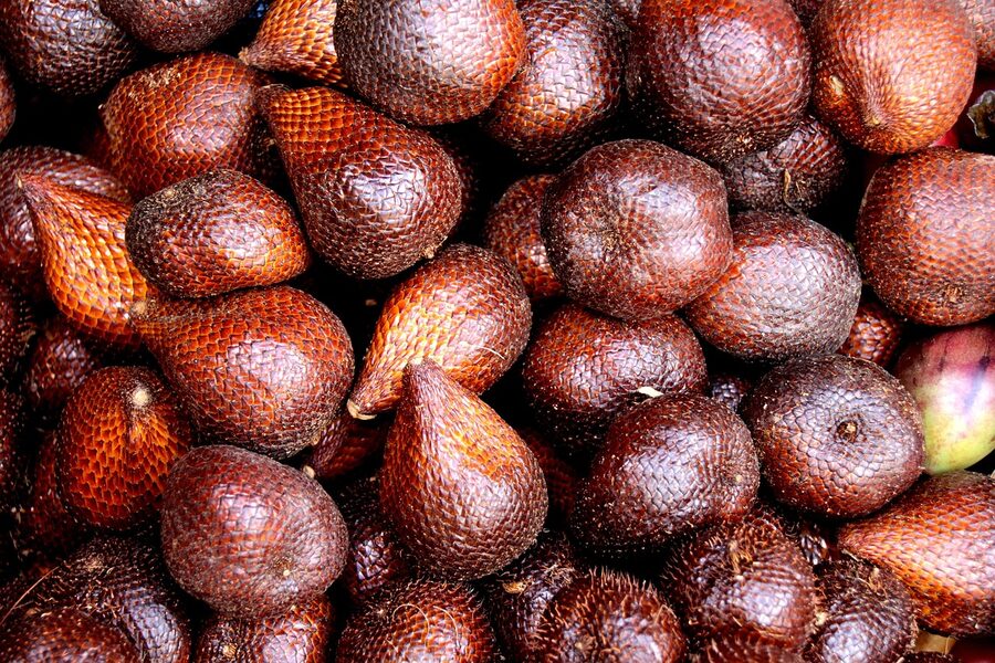 Salak snake fruit in close-up showing scaly brown skin