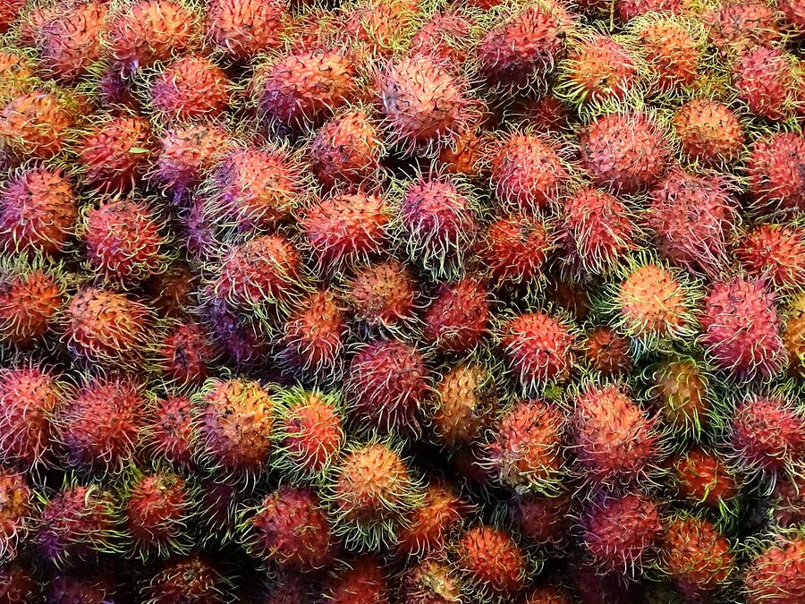 Rambutans at a Chiang Mai fruit stall, Talat Warorot